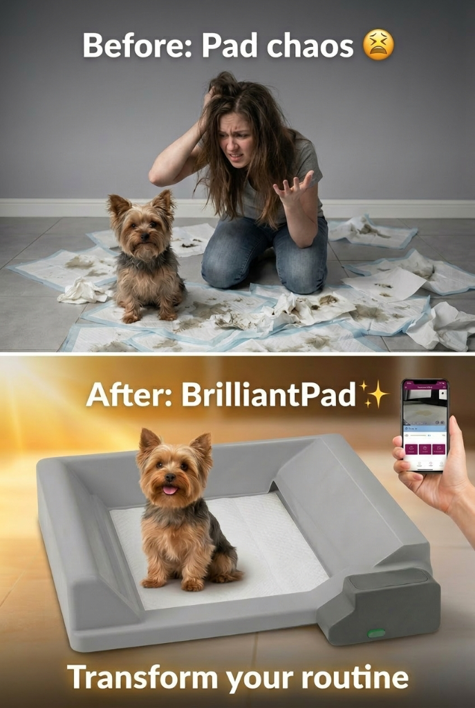 Before: pad chaos vs After: BrilliantPad
